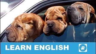 Back Seat Driver  English Idiom [upl. by Dalohcin873]