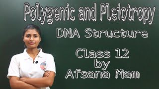 Polygenic Inheritance and Pleiotropy DNA structure Class 12 CBSE [upl. by Calbert743]