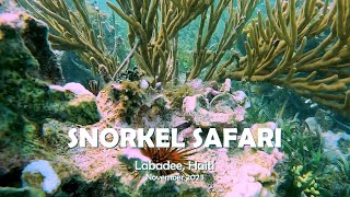 Labadee Snorkel Safari [upl. by Ahsirak]