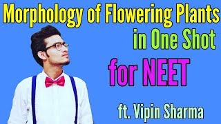 Morphology of Flowering Plants in One Shot Best Video for NEET by Vipin Sharma [upl. by Domenech600]