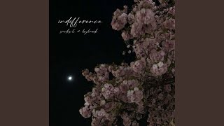 indifference [upl. by Rotkiv]