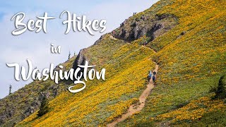 Best Hikes in Washington [upl. by Nolyd]