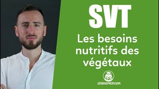 Les besoins nutritifs des végétaux  SVT  5e  Les Bons Profs [upl. by Ellerad]