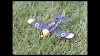 Micro RC FockeWulf FW190 quotButcher Birdquot [upl. by Omrellig]