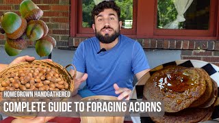 How to Sustainably Forage and Cook Acorns Acorn Flour Pancakes [upl. by Skip770]