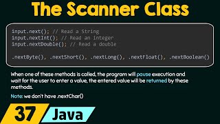 The Scanner Class in Java [upl. by Eedeed632]