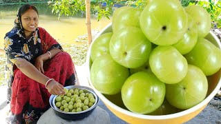 সর্দি কাশি গ্যাস অম্বল দূর করতে আমলকী এইভাবে একবার খেয়ে দেখুন দারুন উপকার পাবেন  amla recipe [upl. by Barthel971]