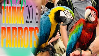 Think Parrots Show 2018  Mikey The Macaw [upl. by Nahem]