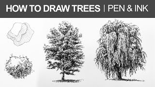 How to Draw Trees with Pen and Ink [upl. by Marianne]