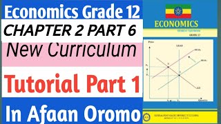 Economics Grade 12 Chapter 2 Part 6 [upl. by Dammahum808]