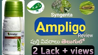 Syngenta Ampligo insecticide Full details తెలుగులో  Ampligo prizedosereview by Agri mentor [upl. by Fellner]