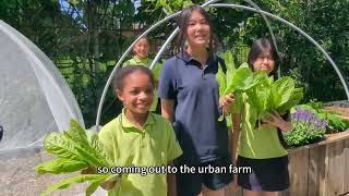 Athol Road Primary School interview with Foodcube [upl. by Alexa]