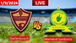 Stellenbosch vs Mamelodi Sundowns  8 Cup  Fifa Live Match Score Today [upl. by Townsend]