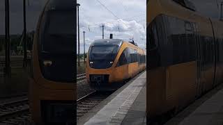 Ausfahrt von RB12 nach Templin Stadt in Oranienburg August2024 [upl. by Solram]