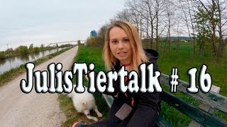 JulisTiertalk 16 Welpe will nicht Gassi gehen  Urlaub mit Hund  Hund und Katze mögen sich nicht [upl. by Trager]