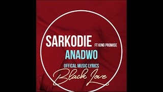 Sarkodie Anadwo ft King Promise Official Music Lyrics [upl. by Brenn431]