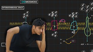 Oxidative Phosphorylation  MDCAT Biology [upl. by Nerraj]