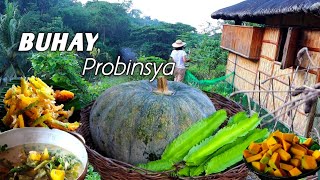 Harvesting Available Vegetable in my Garden  Filipino Vegetables [upl. by Atsirhc]