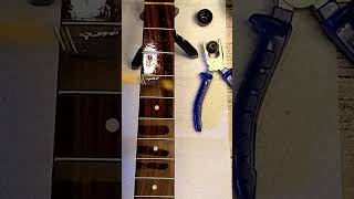 Satisfying Guitar Restoration in Under 1 Minute  Surprise Guest 🎸🐻 GuitarRestoration [upl. by Nalda]