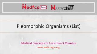 Pleomorphic Organisms Lists [upl. by Dowlen73]