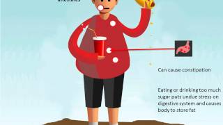 How An Unhealthy Diet Affects Your Body [upl. by Siramad]