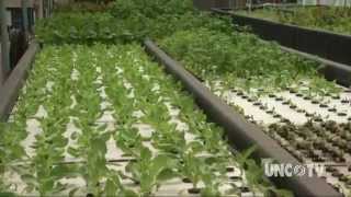 Aquaponics Farming of the Future  Sci NC [upl. by Nnayrb]