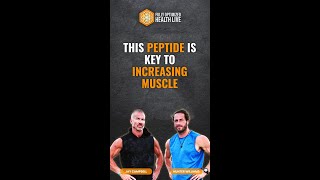 This Peptide Is Key To Increasing Muscle Density [upl. by Ayik248]