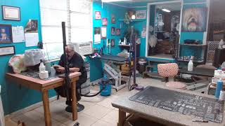 Watch daily as our dog groomers wash snip amp style your fur babies Barbaras Small Breed Pet Salon [upl. by Oivat]