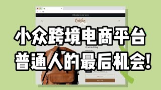 小众跨境电商平台，普通人创业的最后机会！ [upl. by Albur]