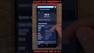 Galaxy S10  Exynos 9820  ApricityROM One UI 60  Geekbench 6 GPU OpenCL Test shorts [upl. by Annahpos883]