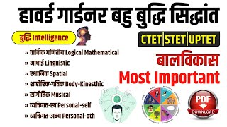 CDP  हावर्ड गार्डनर बहु बुद्धि सिंद्धांत  Gardners theory of multiple intelligence  Study91 [upl. by Notgnirrab987]