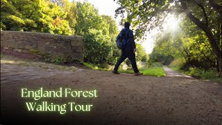 The Most Astonishing Rainforest walk  hiking and trails in Lancashire UK Walking ambience [upl. by Nyrroc736]