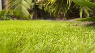 Mitre 10 DIY Artificial Lawn Installation Made EASY  Mitre 10 Easy As DIY [upl. by Lawrence]