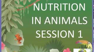 Nutrition in animals s1 for class 7 CBSEWorksheets on nutrition in animals link in description [upl. by Tilla]