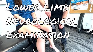 Lower Limb Neuro Examination [upl. by Marsden]