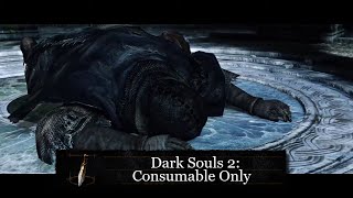 Dark Souls 2 Consumable Only Run part 8 [upl. by Gefen114]