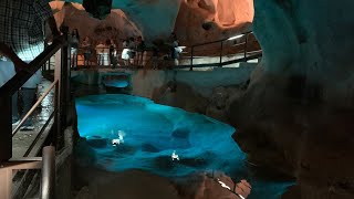 😍 Cueva del Tesoro en Rincón de la VictoriaMálaga [upl. by Eyaj]