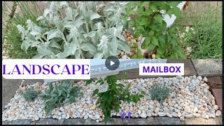 Mailbox Landscaping Design Ideas II Mail Box Makeover II Planting Around Mailbox I Update June 2022 [upl. by Navanod408]