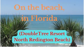 On the beach in Florida DoubleTree Hilton resort North Redington Beach review March 2022 [upl. by Kra113]