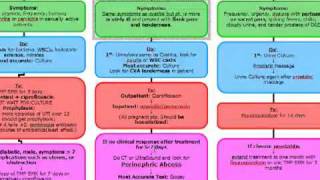 Urinary Tract Infections [upl. by Susanetta]