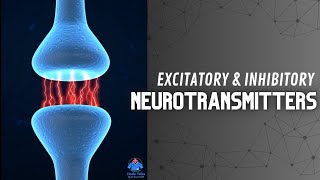 Excitatory and Inhibitory Function of Neurotransmitters  Synapse  Dr Krunal Dabhi [upl. by Suhsoj]