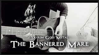 The Bannered Mare  Guitar Music Video Skyrim Goes Metal by Jeremy Soule [upl. by Braasch]