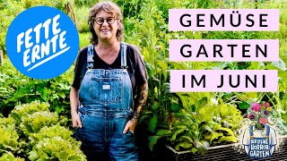 Gartenrundgang  so voll sind meine Hochbeete im Juni I der kleine Horrorgarten [upl. by Anestassia185]