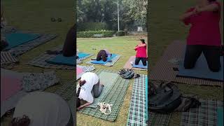 Kapotasana Secretslearn how to learnhow to Teachyogapractice shortsviral yogaeverday [upl. by Nnelg]