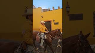 Tradicional Cabalgata a Terreros pasando por San Miguel de Allende Guanajuato México [upl. by Zorana404]