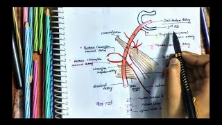 Axillary Artery Anatomy  Origin  Parts  Branches  Relations  Upperlimb Artery  Easy [upl. by Sefton]