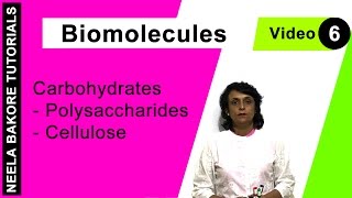 Biomolecules  NEET Carbohydrates  Polysaccharides  Cellulose  Neela Bakore Tutorials [upl. by Soloma]