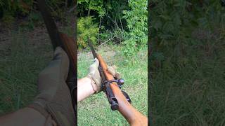 Wards Western bolt action 410 shotgun [upl. by Churchill421]