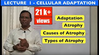 General Pathology  Lecture 1  Introduction and Cellular adaptation [upl. by Liemaj]