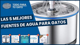 Las 5 mejores fuentes de agua para gatos [upl. by Eilsil580]